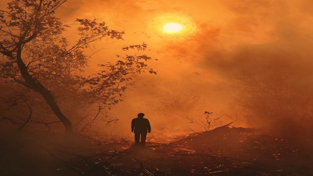 Оранжевый сигнал: тепловой стресс городского примата