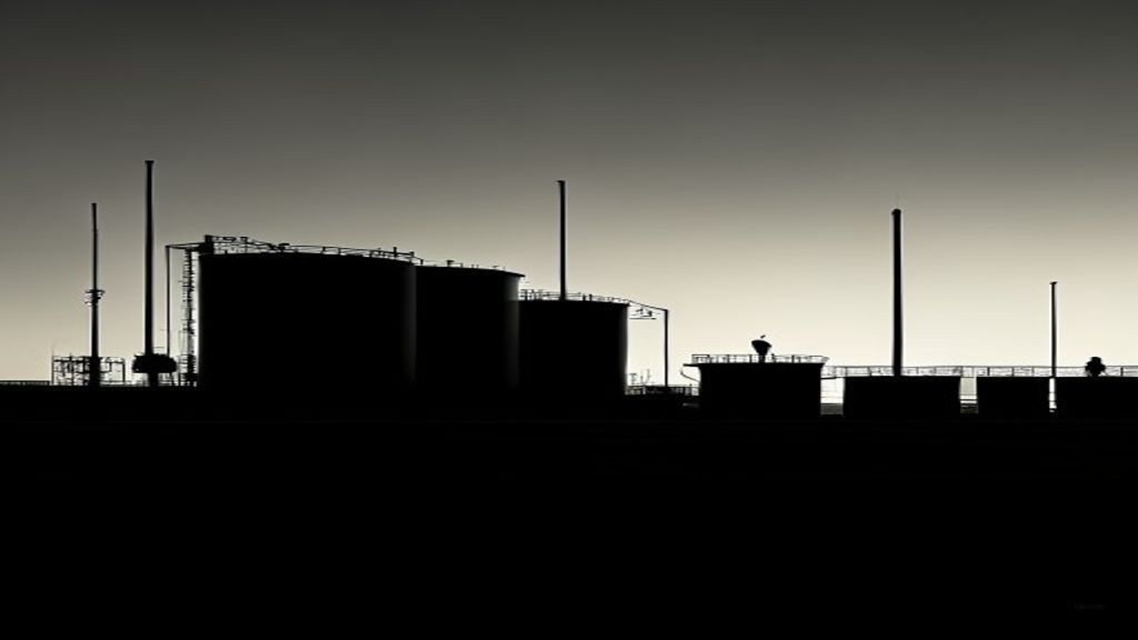 Пустые резервуары: кому выгодна распродажа американских запасов